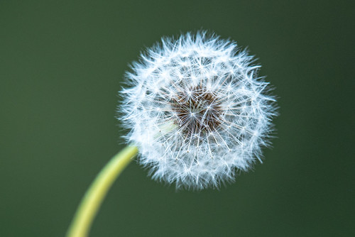 LATISSE Supports Make-a-Wish Foundation With Wishes Challenge Campaign