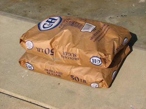 14th Annual Sugar and Champagne To Benefit Washington Humane Society