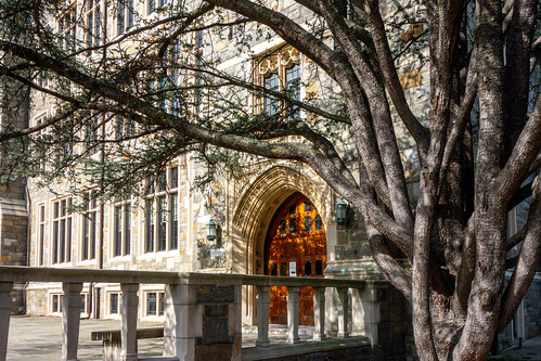 Recap: NewsBabes Bash Raises Funds For George Washington University’s Mammovan