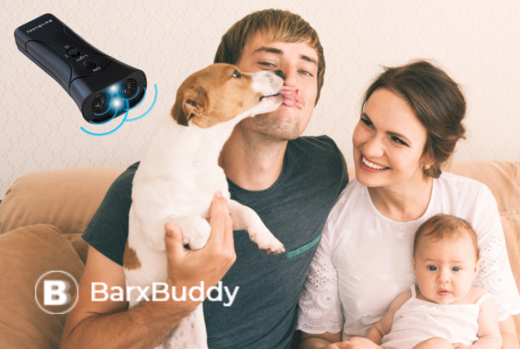 Dog Training With the BarxBuddy Dog Training Device