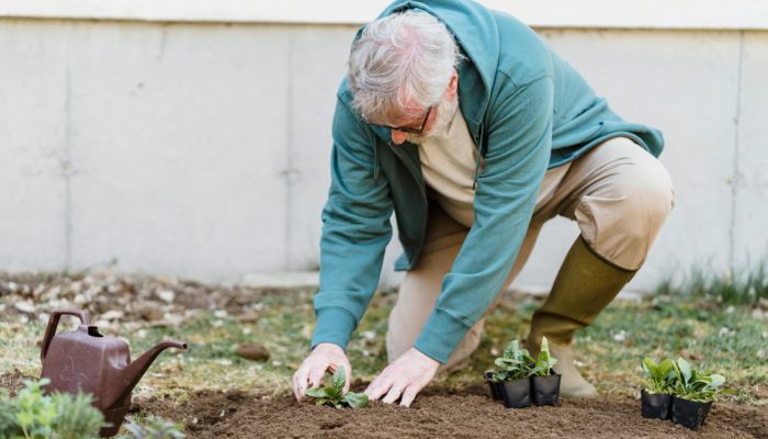 gardening